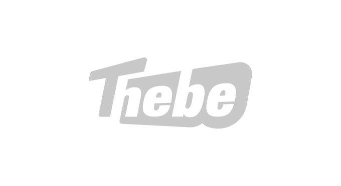Logo_grey_Thebe